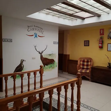 Hotel Carvajal